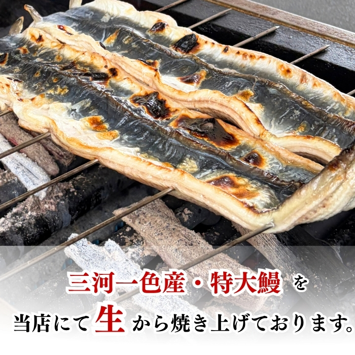 国産 うなぎ 蒲焼 三河一色産 カット済み 2～8パック 秘伝のタレ・ひつまぶし用出汁付 鰻 ハーフカット 簡単 便利 調理 人気 おすすめ 愛知県 南知多町